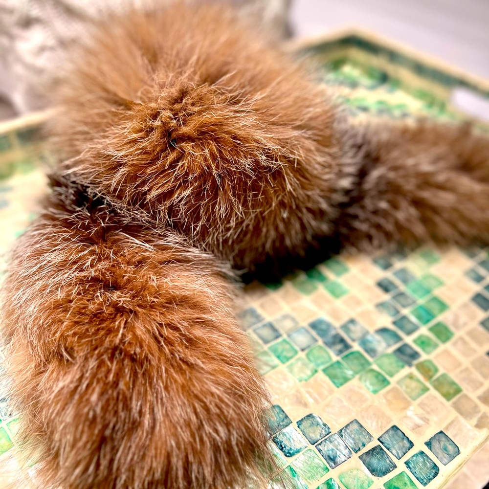 CANADA GOOSE Genuine Coyote Fur Collar, snaps into CG Collars, NWOT